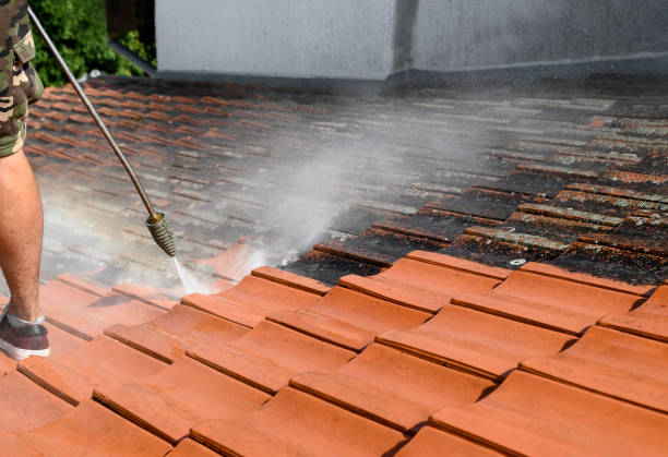 Best Pressure Washing Company Near Me  in Monroe North, WA